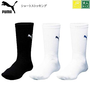 v[} g[jO V[g\bNX V[gXgbLO PUMA Y TbJ[ tbgT Or[ oXPbg{[ St TbJ[\bNX TbJ[XgbLO ړ JWA