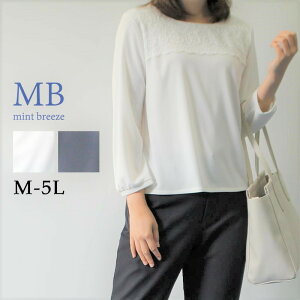 yZ[Mz[X ꂢ Jbg\[ uEX tH[}    }}R[f 傫TCY fB[X Zj[ ʋ΁yMB Gr[~gu[Yz wl t@bV 30 