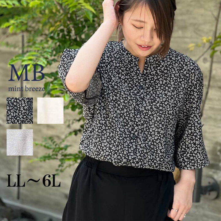 楽天市場】【セール LL〜6L WEB限定 20周年記念限定商品】 バンド 