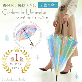 楽天市場 オーロラ 傘の通販