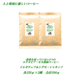 2つのエチオピア・モカ コーヒー 農薬を使っていない農園コーヒー お楽しみ味比べセット 2種類　イルガチェフ、シダモ・シャキッソ　各250g合計500g 農薬未使用栽培コーヒー コーヒー豆 メール便 送料無料 【HLS_DU】焼きたて 煎りたてコーヒー