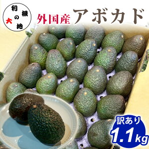 �O���Y �A�{�J�h 1.1kg �󂠂� �A�{�K�h �A�� �t���[�c �������� �ʕ� �ƒ�p �s���� �K�i�O �Z�� �N���[�~�[ �X�̃o�^�[ �T���_ �f�B�b�v ���J���� ���H ������ �܂Ƃߔ��� ���ƒ�p �H�i ����