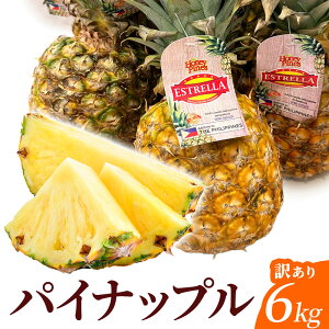 �t�B���s���Y �p�C�i�b�v�� 6kg �󂠂� �������� �p�C�� �P�� �t���[�c �ʕ� ��e�� �ƒ�p �Ɩ��p ������ �s���� �K�i�O �Â� �g���s�J���t���[�c �f�U�[�g ������ �܂Ƃߔ��� �H�i �y��