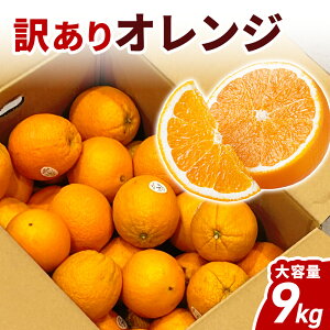 �A�����J�Y �I�����W 9kg �󂠂� �������� �t���[�c �ʕ� ��e�� �ƒ�p �Ɩ��p ������ �s���� �K�i�O �Â� �W���[�V�[ ���k �f�U�[�g ���H ������ �܂Ƃߔ��� ���ƒ�p �H�i �y�����̑�n