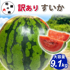 ���Y �X�C�J 9.1kg �󂠂� ���Z ������ �������� �t���[�c �ʕ� ��� ��� ���� �ƒ�p �s���� �K�i�O �Â� �W���[�V�[ �ăM�t�g �� ������ �f�U�[�g �����⋋ ������ ���ƒ�p �H�i �����̑�n