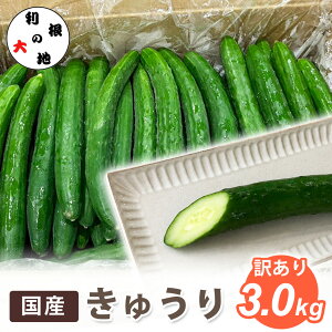 ���Y ���イ�� 3kg �󂠂� �L���E�� �������� ��e�� ��� �ƒ�p �s���� �K�i�O �V�N �T���_ �Е� ��Ђ� �|�̕� ��₵���� �Ɩ��p ������ �܂Ƃߔ��� ���ƒ�p �H�i �y�����̑�n�z