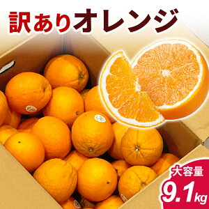 �A�����J�Y �I�����W 9.1kg �󂠂� �������� �t���[�c �ʕ� ��e�� �ƒ�p �Ɩ��p ������ �s���� �K�i�O �Â� �W���[�V�[ ���k �f�U�[�g ���H ������ �܂Ƃߔ��� ���ƒ�p �H�i �y�����̑�