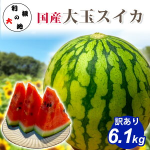 ���Y �X�C�J 6.1kg �󂠂� ���Z ������ �������� �t���[�c �ʕ� ��� ��� ���� �ƒ�p �s���� �K�i�O �Â� �W���[�V�[ �ăM�t�g �� ������ �f�U�[�g �����⋋ ������ ���ƒ�p �H�i �����̑�n