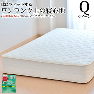 y3900~OFFN[|z }bgX NC[ NC[TCY ᔽ(ʒǉ) 6.5C`|PbgRC 160cm R hL h_j w{[n xbhp}bgX xbh}bgX 