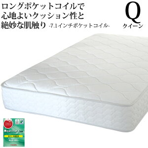 y5000~OFFN[|z }bgX NC[ NC[TCY 7.1C`|PbgRC R hL h_j xbh}bgX V I[_[Ch { Jݒu