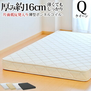 y3900~OFFN[|z }bgX NC[ NC[TCY ӂ ^{lRC Жʒᔽ R hL h_j I[_[Ch { Jݒu