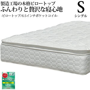 y5000~OFFN[|z }bgX VO |PbgRC 30cm R hL h_j s[gbv 6.5XvO  I[_[Ch { Jݒu