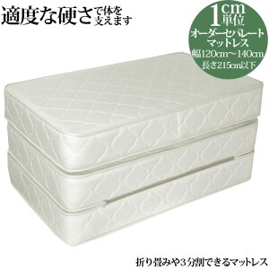 y5000~OFFN[|z I[_[Ch Zp[g}bgX {lRC _u(120cm`140cm 215cmȉ) }bgX  _u O܂ IWi }bgX I[_[[h Ԓ