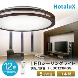 LED シーリングライト ホタルクス 12畳 虫が入りにくい 日本製 節電 明るい 簡単取付 送料無料 調光 調色 リモコン付 ホタルック機能 停電 常夜灯7段階 調色5段階 調光10段階 工事不要 5年保証 おしゃれ 新生活応援 HLDC12304SG