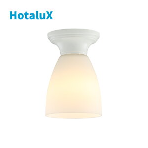 HotaluX LEDdV[OCg  z^NX { ߓd ߖ dC 邢 Vv i`   fUC _ RXp  oϓI XM-LE26105L