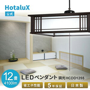LED y_gCg  a HotaluX(z^NX) 12 VƖ { ߓd dC 邢 ȒPt   F a y Vv _ Hsv  5Nۏ  
