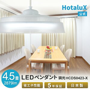 LED y_gCg  HotaluX(z^NX) 4.5 VƖ { ߓd ߖ dC 邢 ȒPt   F m y Vv Hsv 5Nۏ  oϓI HCDS0423-X