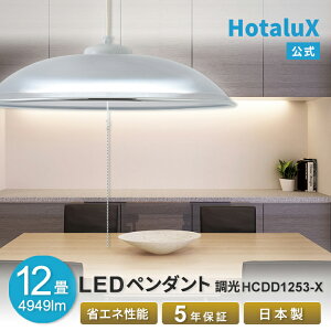 y320`16959܂Ń|Cg3{IzLED y_gCg  HotaluX(z^NX) 12 VƖ { ߓd ߖ dC 邢 ȒPt   F m y Hsv