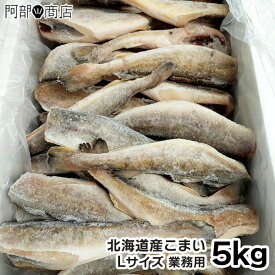 北海道産 業務用 こまい 5kg Lサイズ 氷下魚 コマイ 生干し 一夜干し 干物 おつまみ 魚 食べ方 焼き魚 レシピ 焼くだけ 美味しい BBQ バーベキュー おすすめ 食材 通販 スーパー