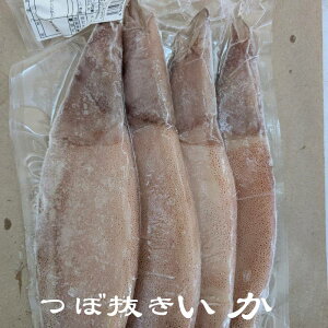 ���M�p �ڔ�������