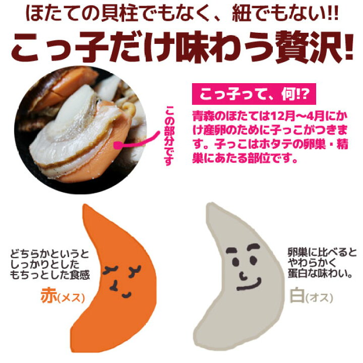 楽天市場 ホタテの子 ボイル ほたてのこ 1kg ほたてのこっ子 焼いても煮ても美味しい ほたてのたまご ホタテ ホタテ 卵 業務用 卸 ホタテのこっこ 活ホタテと海産ギフト 阿部商店