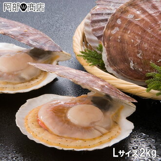 【送料無料】陸奥湾産活ほたてL2kg前後ホタテ殻付き貝柱通販産直活ホタテ刺身青森ホタテ貝殻つきホタテ貝活ホタテ貝青森県バーベキューシーフードお歳暮ギフト【お届け日指定不可・年内出荷分限定】
