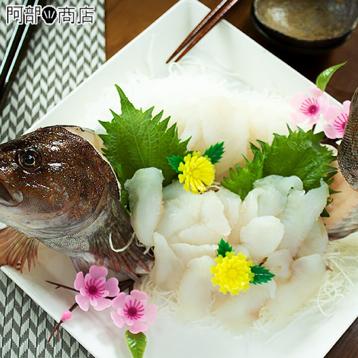楽天市場 送料無料 12月 6月限定 アイナメ 姿造りセット 冷蔵便 青森県産 アイナメ あいなめ 刺身 姿盛り 刺身 用ツマセット 誕生日 お祝い 敬老の日 年末年始 刺身セット お中元 お歳暮 活ホタテと海産ギフト 阿部商店