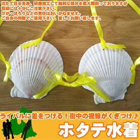 ネコポスお届け 送料無料 ホタテ水着 上下セット（上2枚 下1枚）ホタブラ ホタテブラ 貝殻水着 余興 衣装 面白 ※ホタテ貝特有の色や染みが付いております。真っ白い貝殻でのお届けではございません。ご了承下さい。 [この商品のみの配送ならネコポス対応で送料無料]