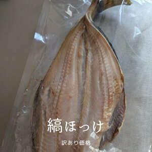 y󂠂艿iz艖 Ȃق J 360gO