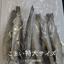 北海道産 こまい 1kg前後 特大サイズ 6尾前後（尾数の前後お許しください）