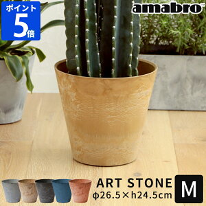 Aؔ amabro A[gXg[ ART STONE M  v^[ 9  y y vX`bN K[fjO A Jo[  ϗtA  n[u ͔| |pi Vv ~` ʋ 