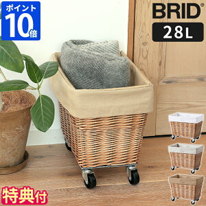 yTtzh[oXPbg BRID EB[ h[oXPbg LX^[t 28L  C[oXPbg h[S 󂩂 E߂ h[[ 󕨓 