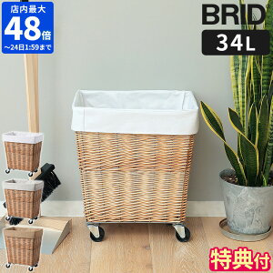 yTtzh[oXPbg BRID EB[ h[oXPbg LX^[t 34L  C[oXPbg h[S 󂩂 E߂ h[[ 󕨓 
