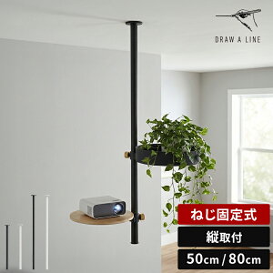 �h���[�A���C�� DRAW A LINE Mount Rod Ceiling 500 800 �}�E���g ���b�h �V�[�����O 50cm 80cm �c��t �˂��Œ莮 �c���b�h �P�i �V���t �V�䒼�t ���[ �f�B�X�v���C �X�`�[�� �p�C�v �x�� ���m�g�[�� �C