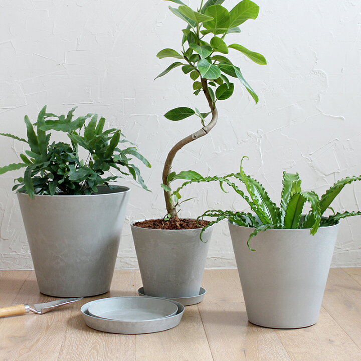楽天市場】【限定色】植木鉢 amabro アートストーン ART STONE LL 鉢 