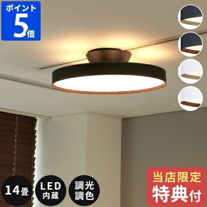yX荋ؓTtzV[OCg 14 A[g[NX^WI O[ 6000 LEDV[Ov Glow 6000 LED-ceiling light  Ɩ LED  F Rt VƖ ԐڏƖ 