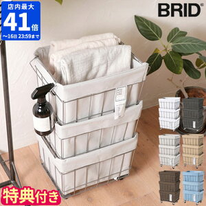 yTtzC[oXPbg BRID WIRE ARTS & PRO X^bLOoXPbg 3i LX^[ EHbVuJo[  [oXPbg  JS  􂦂 LX^[t d˂ 