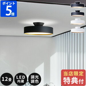 yTtzV[OCg  A[g[NX^WI O[ 5000 LEDV[Ov Glow LED ceiling lamp 12 10 LED  F Rt VƖ ԐڏƖ F gF  