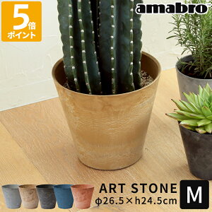 Aؔ amabro A[gXg[ ART STONE M  v^[ 9  y y vX`bN K[fjO A Jo[  ϗtA  n[u ͔| |pi Vv ~` ʋ 