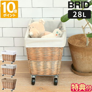 yTtzh[oXPbg BRID EB[ h[oXPbg LX^[t 28L  C[oXPbg h[S 󂩂 E߂ h[[ 󕨓 
