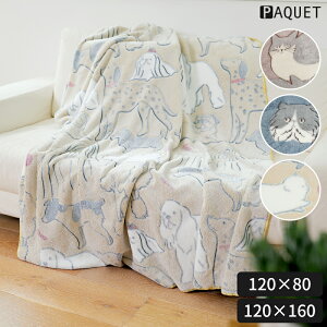 uPbg pP PAQUET t@j[uPbg M 120×80 / L 120×160 Ђ| |` 傫 唻 ѕz ~   Aj} L lR  Ck 킢 CXg |GXe ӂ