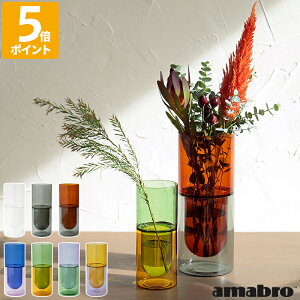 ԕr KX amabro A}u DW VASE STCY LTCY t[x[X TWO TONE SERIES _uEH[x[X Ԃт  A } ^ ی^ ~^ X  d\ KX 킢 Ce