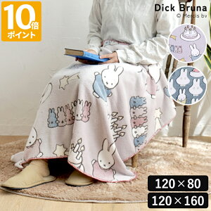 y2025H~z~btB[ fBbNu[i Dick Bruna DB/t@j[uPbg M 120×80 / L 120×160 miffy ΂ p[eB[ uPbg Ђ| 傫 唻 ѕz ~   킢 