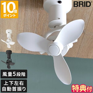 yTtzV[Ot@ BRID 3D CEILING FAN ㉺EU ㉺EXCO T[L[^[ 5iK S Cz C @ Vt@ g[Abv Rt 