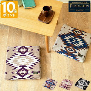 NbV yhg PENDLETON V[gNbV Seat Cushion ֎q `FA zc 40cm lp  `FANbV tANbV _CjO`FA  CeA fUC AE