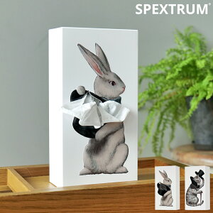 eBbV{bNX SPEXTRUM Flapper Tissue UP Tale XyNg tbp[ eBbV AbveC eBbVP[X eBbVJo[  cu c^ ^ lߑւ [ CeA L