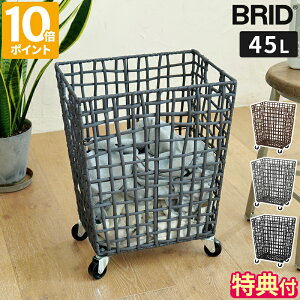 yTtzh[oXPbg BRID tjbg h[oXPbg LX^[t 45L  e C[oXPbg h[S 󂩂 E߂ h[[ [