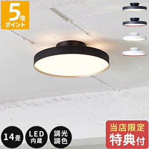 yTtzV[OCg A[g[NX^WI O[ 6000 LEDV[Ov Glow 6000 LED-ceiling light 14܂  Ɩ LED  F Rt VƖ ԐڏƖ F gF 
