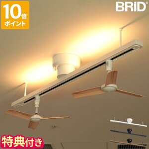 yTtzCeBO[ BRID CeBO _Ng[ with LED Ɩ ȈՎtƖp_Ng[ LEDCgt ԐڏƖ 㕔Cg Abp[Cg F10iK F dF F