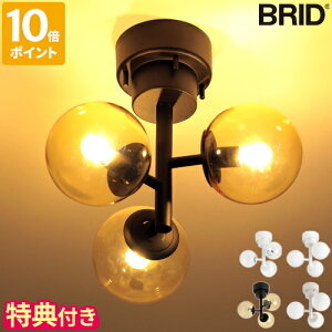 �y���T�t�z�V�[�����O���C�g BRID TINY GLASS CEILING LIGHT 3 �^�C�j�[ �K���X �V�[�����O���C�g 3�� ������� �V��Ɩ� LED�d���Ή� LED�Ɩ� �Ɩ���� �K���X�V�F�[�h �{�[���V�F�[�h �R���p�N�g �C��